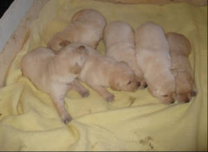 3weeksold.JPG